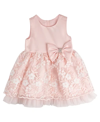 Rare Editions Baby Girls Silk and Embroidered Mesh Social Dress