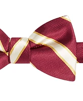 Tayion Collection Men's Crimson & Cream Stripe Bow Tie