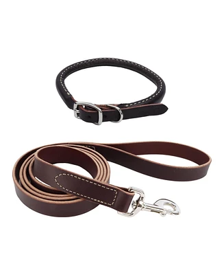 Coastal Pet Circle T by Latigo Leather Twist Dog Leash with Brass Hardware (6') & Latigo Leather Round Dog Collar (3/8" x 14")