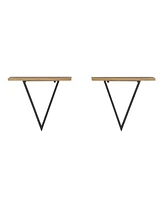 Danya B Contemporary Decorative Triangle Accent Wall Shelf, Reversible Configuration, Metal with Walnut Finish Ledge