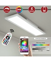 18W Rgb Led Ceiling Light with Remote Control