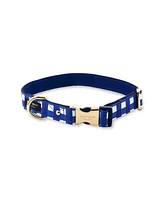 Large Dog Collar