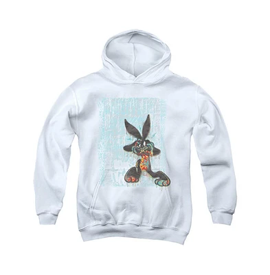 Looney Tunes Boys Youth Graffiti Rabbit Pull Over Hoodie / Hooded Sweatshirt