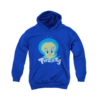 Looney Tunes Youth Tweety Swirl Pull Over Hoodie / Hooded Sweatshirt