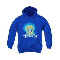 Looney Tunes Boys Youth Tweety Swirl Pull Over Hoodie / Hooded Sweatshirt