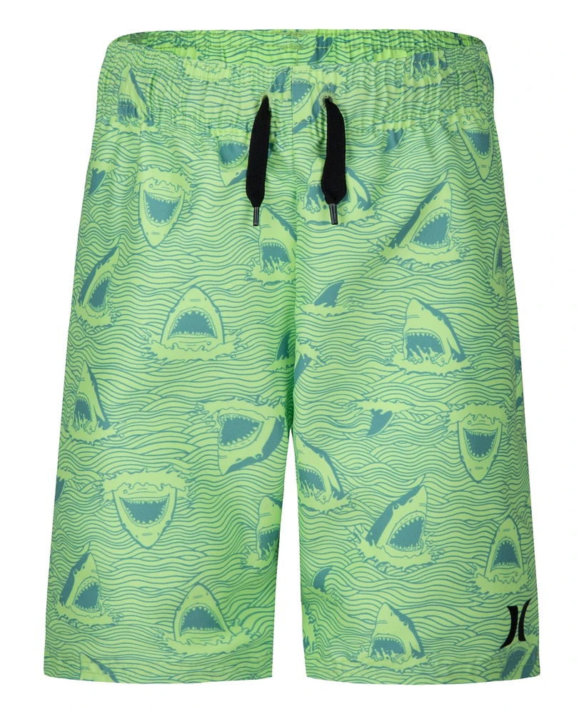 Hurley Little Boys Shark Head Doodle Swim Set