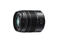 Panasonic Lumix 45-150mm F4.0-5.6 G Vario Asph Mega Ois Lens