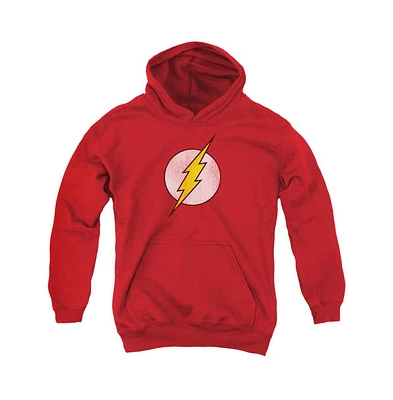 Dc Flash Youth Comics Logo Distressed Pull Over Hoodie / Hooded Sweatshirt