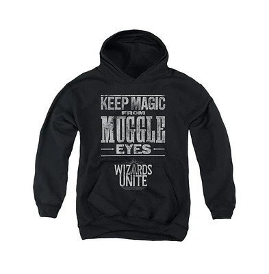 Harry Potter Boys Wizards Unite Youth Hidden Magic Pull Over Hoodie / Hooded Sweatshirt
