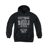 Harry Potter Boys Wizards Unite Youth Hidden Magic Pull Over Hoodie / Hooded Sweatshirt