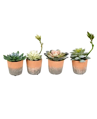 Vickerman Set of 4 Assorted 7" Artificial Potted Succulents, Set of 4