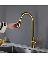 Streamdale Furniture Kitchen Faucet With Pull Out Sprayer