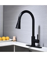 Streamdale Furniture Kitchen Faucet With Pull Out Sprayer