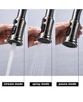 Kitchen Faucet With Pull Out Sprayer