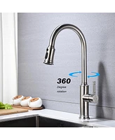 Streamdale Furniture Kitchen Faucet With Pull Out Sprayer