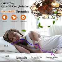 Low Profile Caged Ceiling Fan With Lights Remote Control