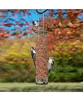 Cole's Metal Mighty Mesh Tubular Wild Bird Feeder, 15in