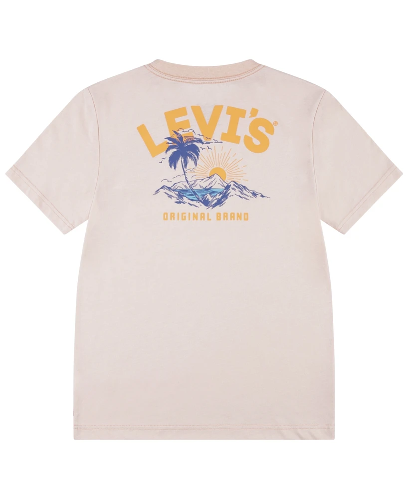 Levi's Big Boys Scenic Summer Tee