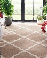 Safavieh Amherst AMT421 Wheat and Beige 8' x 10' Area Rug