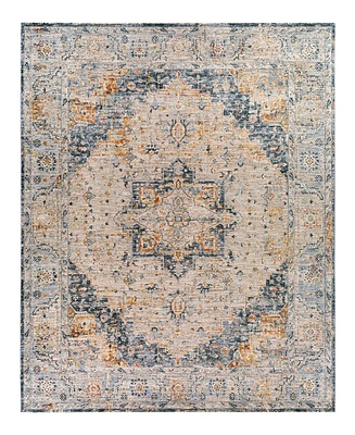 Surya Laila Laa-2312 7'10x10'3 Area Rug