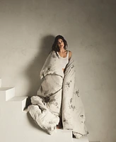 Calvin Klein Aquarelle Floral Cotton Melange Gauze 3 Piece Comforter Set