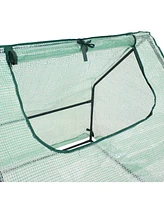 Sunnydaze Decor Steel Pvc Cover Mini Cloche Greenhouse with Zipper - Green