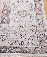 Safavieh Arizona Washable 132 ARZ132 3'x5' Area Rug