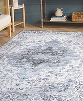 Safavieh Arizona Washable 123 ARZ123 8'x10' Area Rug