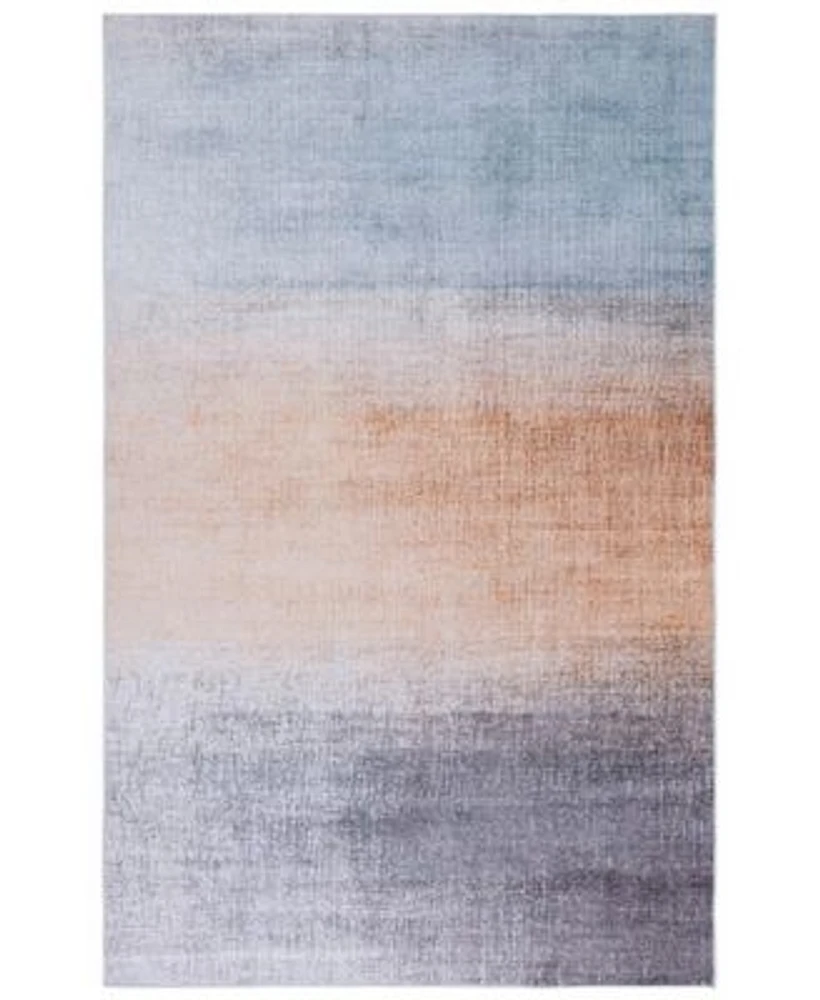 Tacoma Washable Tac816 Rug Collection