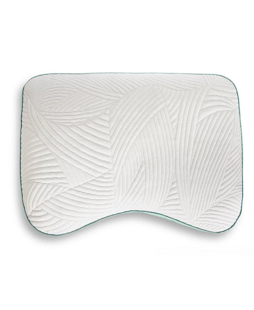 Bedgear Level Cuddle Curve Performance Pillow 3.0, Standard/Queen