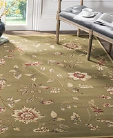 Safavieh Lyndhurst LNH552 and Multi 8'9" x 12' Area Rug