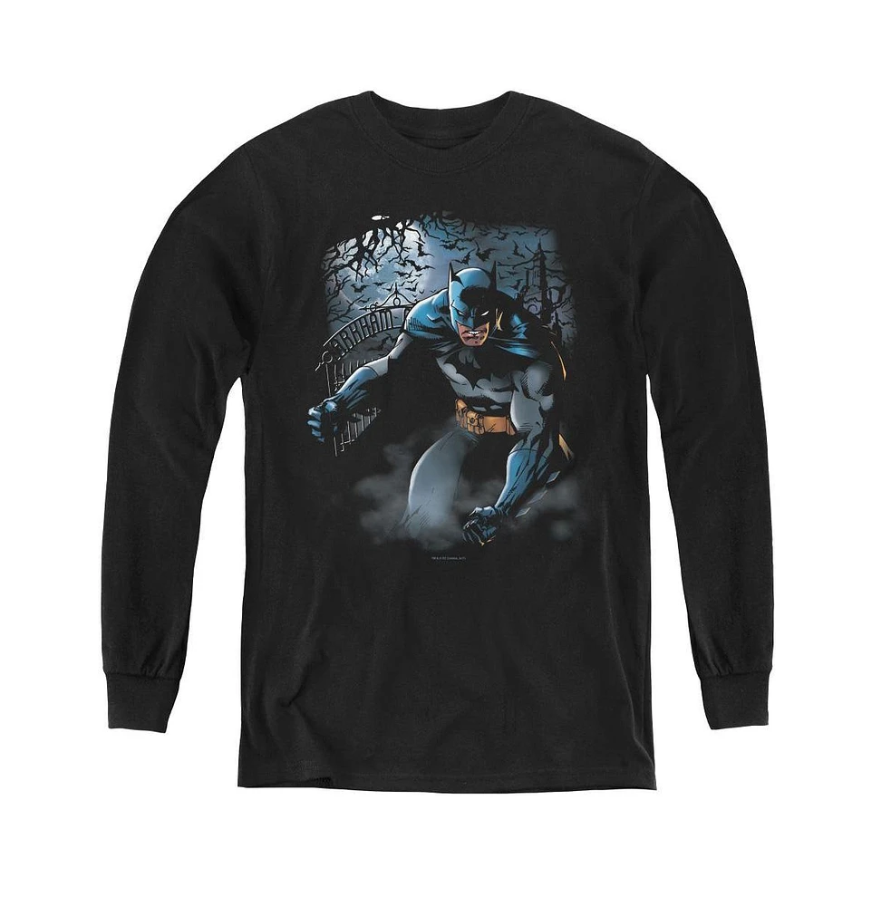 Batman Boys Youth Light Of The Moon Long Sleeve Sweatshirts