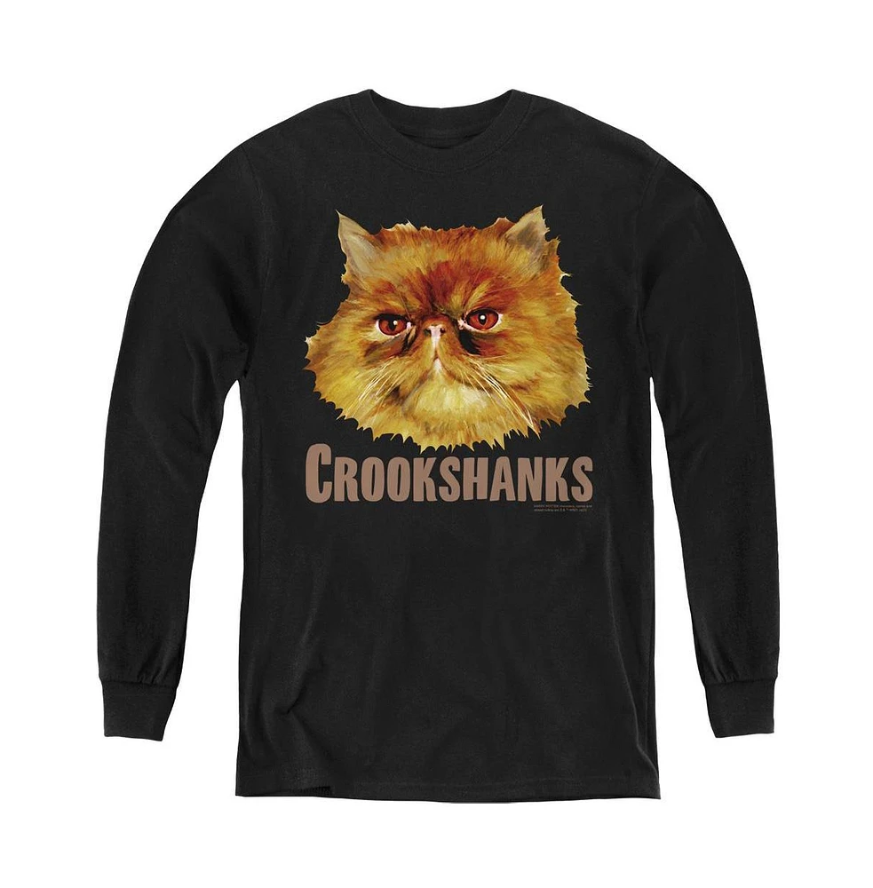 Harry Potter Boys Youth Crookshanks Color Long Sleeve Sweatshirts