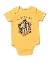 Harry Potter Baby Boys Gryffindor Hufflepuff Ravenclaw Slytherin 4 Pack Bodysuits