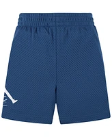 Jordan Little Boys Dri-fit Baseline Shorts