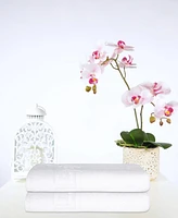 Ozan Premium Home Milos Greek Key Design Collection 100% Turkish Cotton Bath Sheet, 40" x 60"