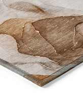 Addison Chantille Machine Washable ACN504 9'x12' Area Rug