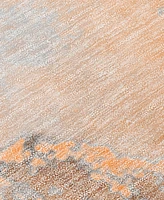 Addison Chantille Machine Washable ACN506 8'x10' Area Rug