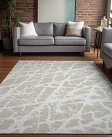 Addison Chantille Machine Washable ACN501 8'x10' Area Rug