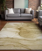 Addison Chantille Machine Washable ACN507 9'x12' Area Rug