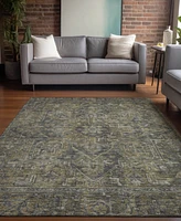 Addison Chantille Machine Washable ACN571 9'x12' Area Rug