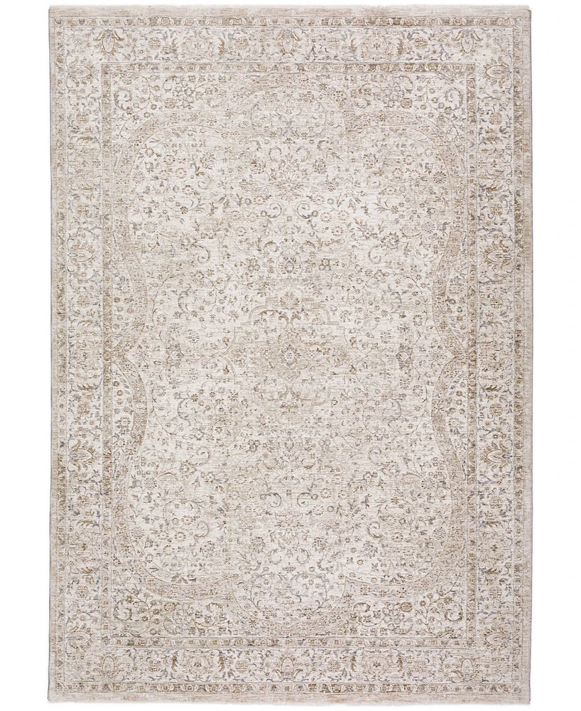 Dalyn Cyprus CY8 2'3x7'10 Runner Area Rug