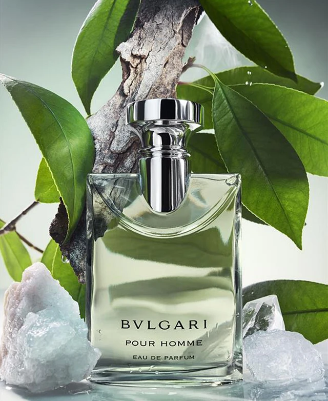 Bvlgari Pour Homme Macys Bvlgari BVLGARI Men's Pour Homme Eau De