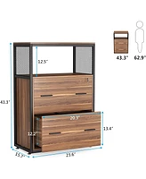 Tribesigns 2 Drawer File Cabinet with Lock, Large Lateral Filing Cabinet for Letter/Legal / A4 Size, Wood Printer Stand with Open Storage Shelves for