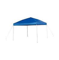 Outdoor Event/Tailgate Set With Pop Up Event Canopy Carry Bag