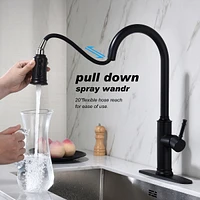 Streamdale Furniture Kitchen Faucet With Pull Out Sprayer