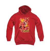 Justice League Boys of America Youth Flash Lightning Pull Over Hoodie / Hooded Sweatshirt