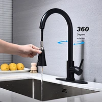 Streamdale Furniture Kitchen Faucet With Pull Out Sprayer