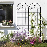 Rustproof Rose Trellis for Climbing Plants 86.7"x19.7"