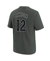 Nike Big Boys and Girls Francisco Lindor Charcoal New York Mets 2024 City Connect Name Number T-Shirt